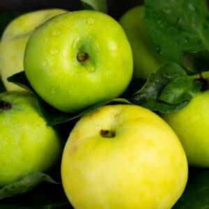 Rut Master™ Apple